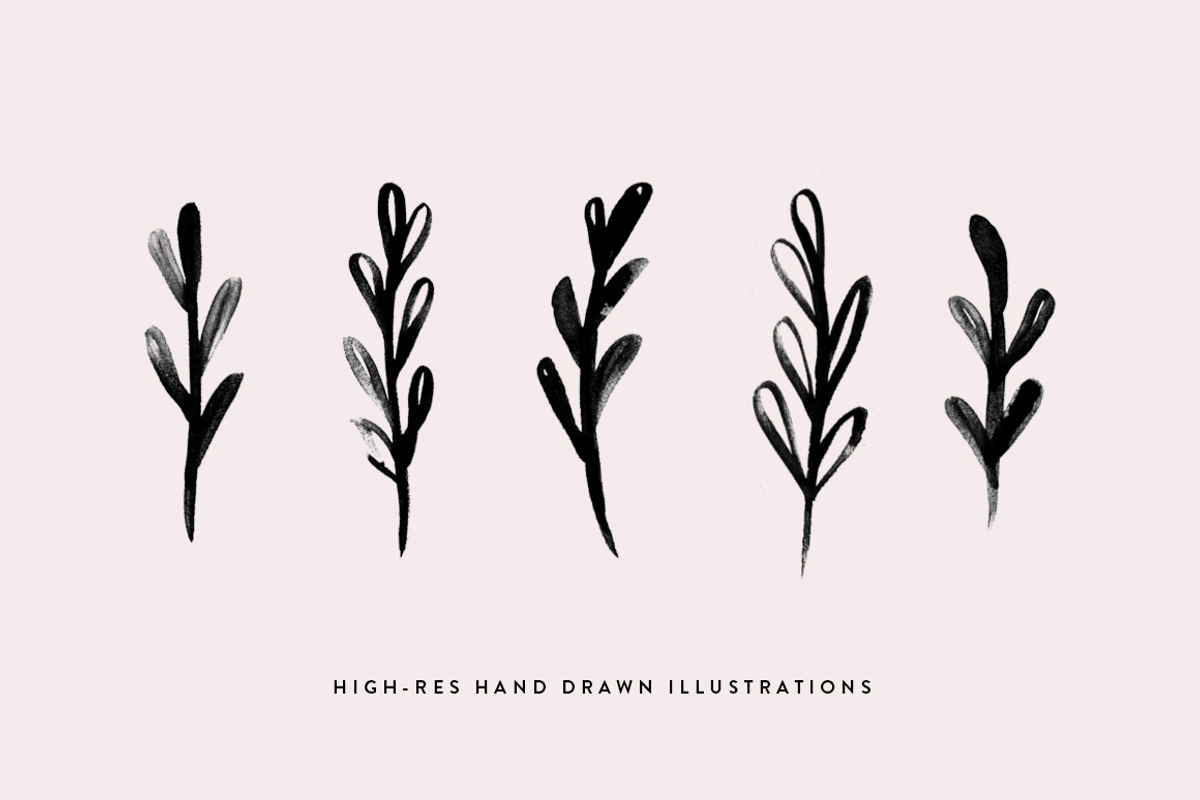 Minimal Watercolor Botanicals, a Decorative Illustration by Kinlake (Photo 2 of 3)