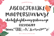 Sophia Hand-lettered, a Script Font by Emily Spadoni (Thumbnail 2 of 5)