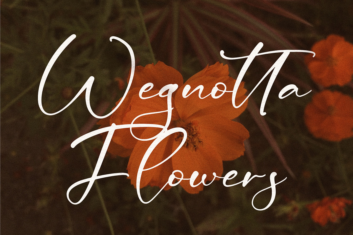 Ceesenetta, a Script Font by Integritype Studio (Photo 2 of 15)
