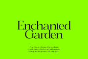 Bungalow - Elegant Serif, a Serif Font by subkulturetype (Thumbnail 6 of 8)