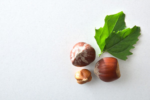 Three hazelnuts and two leaves isolated on white background, a Food & Drink Photo by Davizro's Market