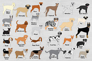 Popular Dog Breeds Clipart Bundle, an Animal Illustration by VizualStorm (Thumbnail 2 of 3)