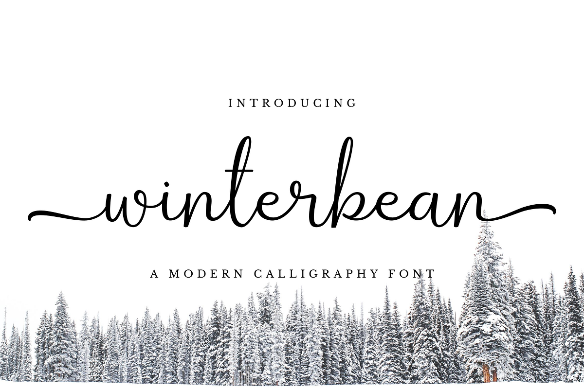 Winterbean - Modern Calligraphy Font, a Script Font by Sibelumpagi Studio (Photo 1 of 12)