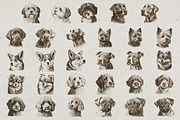 Dog Breeds Portrait Illustrations, an Animal Illustration by Nocturnal Wolf (Thumbnail 8 of 12)