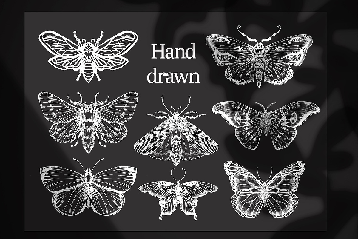 Butterfly moths bugs Procreate Stamp, a Brush Add-On by MakeMyPlaceDesign (Photo 2 of 3)