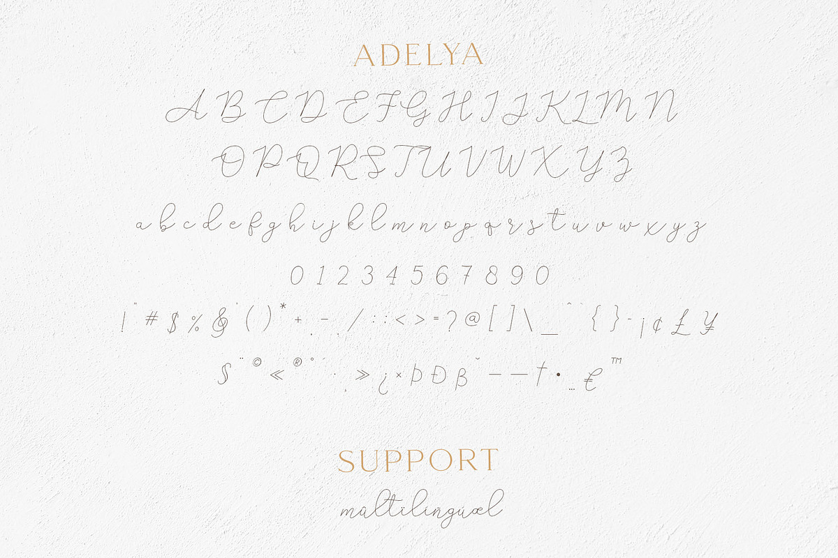 Gamour - Elegant Serif Font + Bonus preview 7