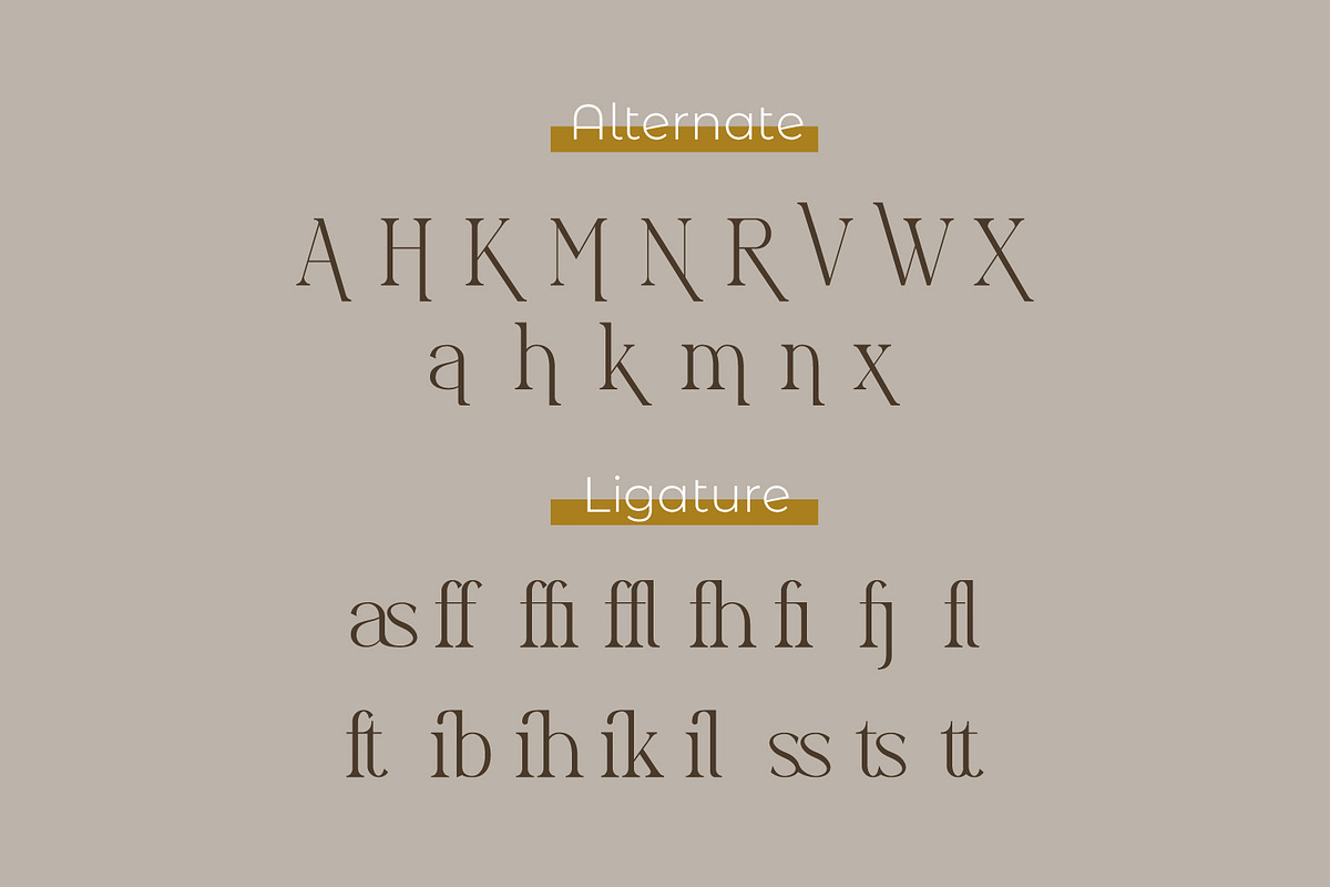 Noxasails, a Serif Font by Rishsketch (Photo 9 of 12)