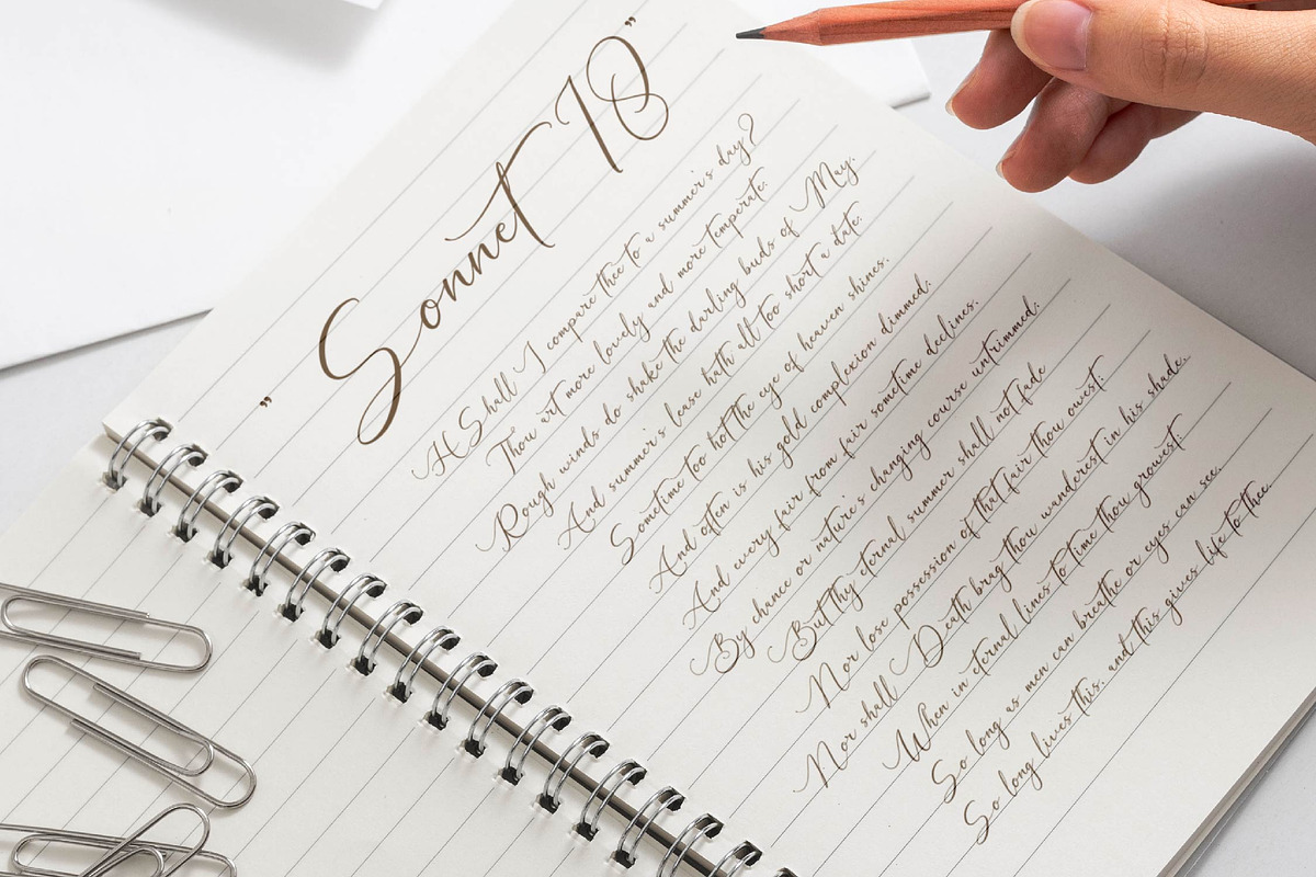 Galteniya | Beautiful Script, a Script Font by Denustudios (Photo 10 of 15)