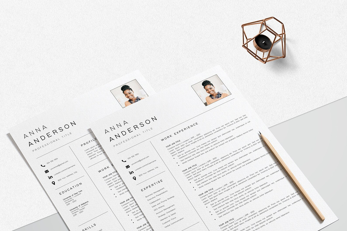 Resume Template CV Professional, a Resume Template by LucaTheme (Photo 6 of 10)