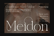 Menils Elegant Serif, a Serif Font by Elegant Font (Thumbnail 2 of 8)