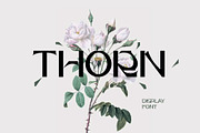 Thorn Font, a Font by Mymlan Shop (Thumbnail 1 of 9)