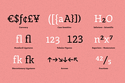 Grimmig, a Serif Font by Schriftlabor (Thumbnail 4 of 8)