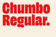 Chumbo, a Sans Serif Font by Haus Type (Thumbnail 1 of 6)