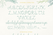 Olesia, a Script Font by Julia Dreams (Thumbnail 2 of 5)
