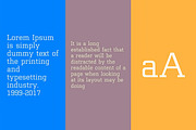 Brasilia Stylish Serif Font, a Serif Font by Blue Digital Studio (Thumbnail 2 of 2)