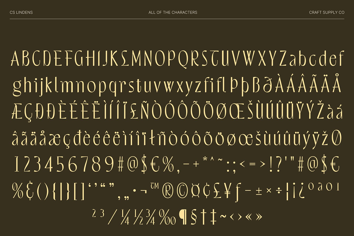 CS Lindens – Aesthetic Font, a Sans Serif Font by Craft Supply Co. (Photo 8 of 8)