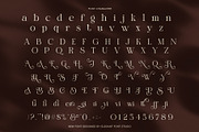 Stimer Dream Elegant Serif Font, a Serif Font by Elegant Font (Thumbnail 7 of 8)