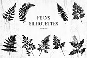 Fern and Grass Silhouettes, a Decorative Illustration by AW Studios (Thumbnail 2 of 6)