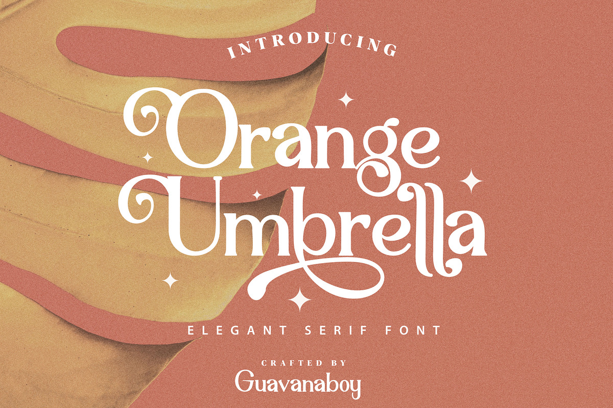Orange Umbrella Beautiful Serif Font, a Serif Font by Guavanaboy (Photo 1 of 11)