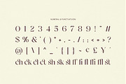 Deluxer - Elegant Modern Serif, a Serif Font by Typia Nesia (Thumbnail 4 of 16)