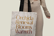 Mozani Elegant Sans Serif Font, a Sans Serif Font by timelesstype.co (Thumbnail 13 of 20)