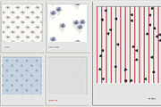 Bloom: Patterns & Illustrations, a Pattern Graphic by Veyla (Thumbnail 5 of 23)