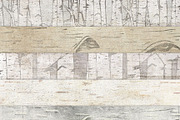 Birch Wood Background Images, a Pattern Graphic by Carrie Stephens Art (Thumbnail 4 of 6)