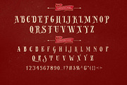 Stay Alive | Victorian Style Font, a Serif Font by StoricType (Thumbnail 2 of 9)