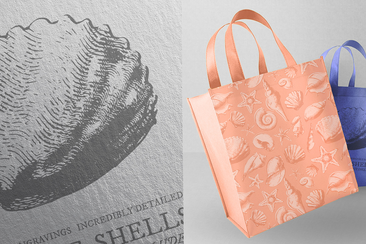 Vintage shell, an Illustration by Siosay (Photo 8 of 8)