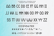 People December, a Sans Serif Font by FreshTypeINK (Thumbnail 6 of 6)