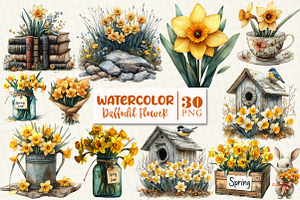 Daffodil Flower Clipart, a Work Illustration by OK Design
