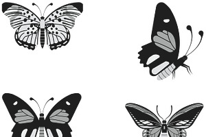 Butterfly Outlines Set 5 Procreate