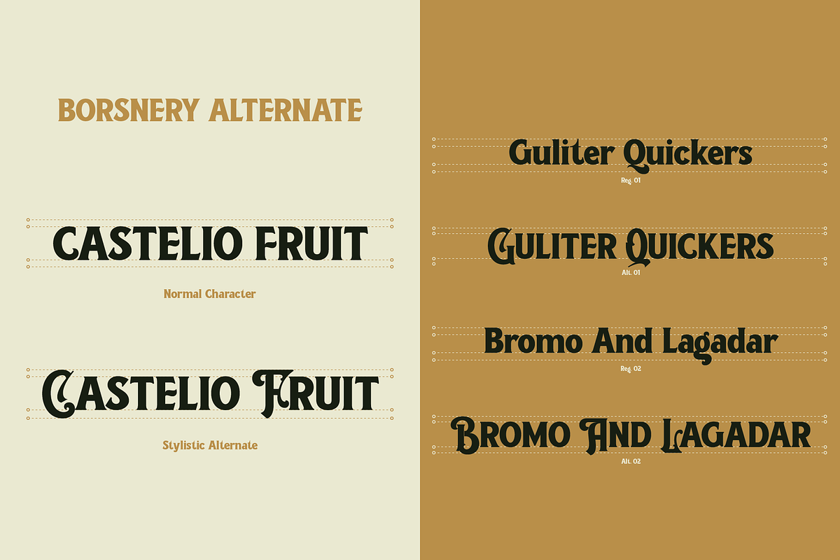 Borsnery, a Serif Font by Amera Type (Photo 4 of 10)