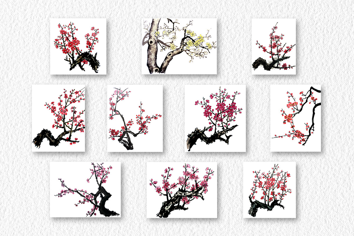 Watercolor clipart of blossom plum, a Decorative Illustration by ViktoriArt (Photo 2 of 11)