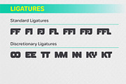 YNF Gross | Display font 2 styles, a Sans Serif Font by YNF (Thumbnail 10 of 34)
