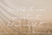 Cicaero, a Script Font by Integritype Studio (Thumbnail 4 of 15)