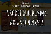 Shelbyville, a Script Font by OnTheSpotStudio (Thumbnail 5 of 6)