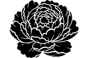 Vintage Botanical Flower Vector Set, an Object Illustration by Designer_Momina (Thumbnail 22 of 26)