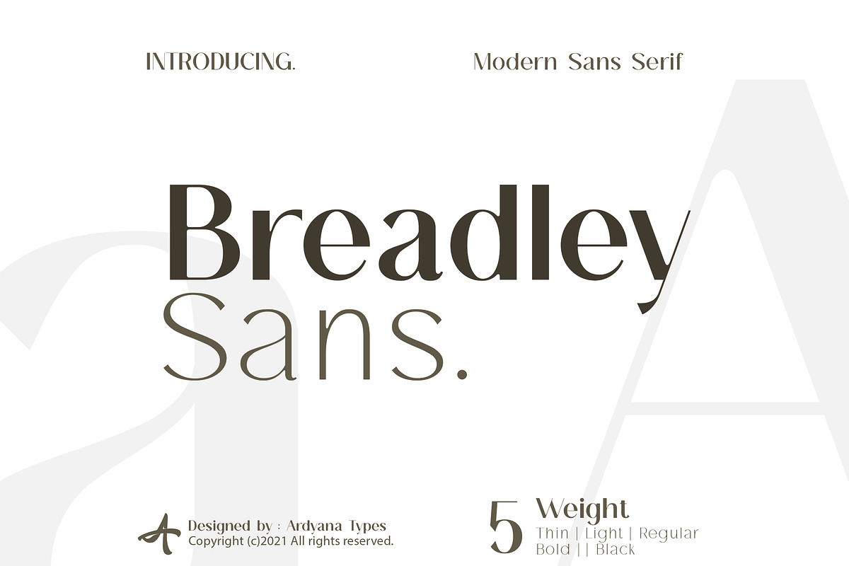 Breadley Sans - Modern Sans Serif, a Sans Serif Font by Ardyanatypes (Photo 1 of 12)