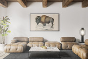 A Journal of Natural History, an Animal Illustration by Dene Studios (Thumbnail 4 of 10)