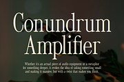 Tirone - Display Serif Font, a Font by Viswell (Thumbnail 8 of 10)