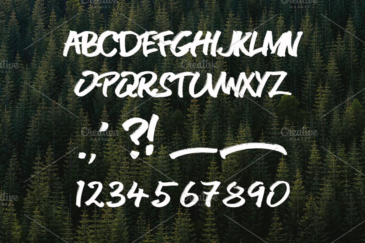 OPEN ROAD Brush Font, a Script Font by James Daly (Photo 10 of 10)