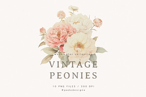 Vintage Peonies