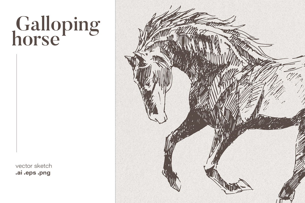 Sketch of a galloping horse, an Animal Illustration by TheMountBirdStudio (Photo 1 of 4)