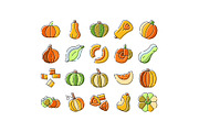 Pumpkins and squash whole and sliced, an Object Graphic by pikepicture (Thumbnail 1 of 3)
