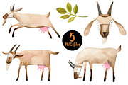 Watercolor GOATS set, an Animal Illustration by Bibela (Thumbnail 2 of 3)