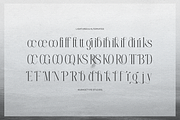 Furigale | Classic Serif, a Serif Font by gracetype_studio (Thumbnail 12 of 12)