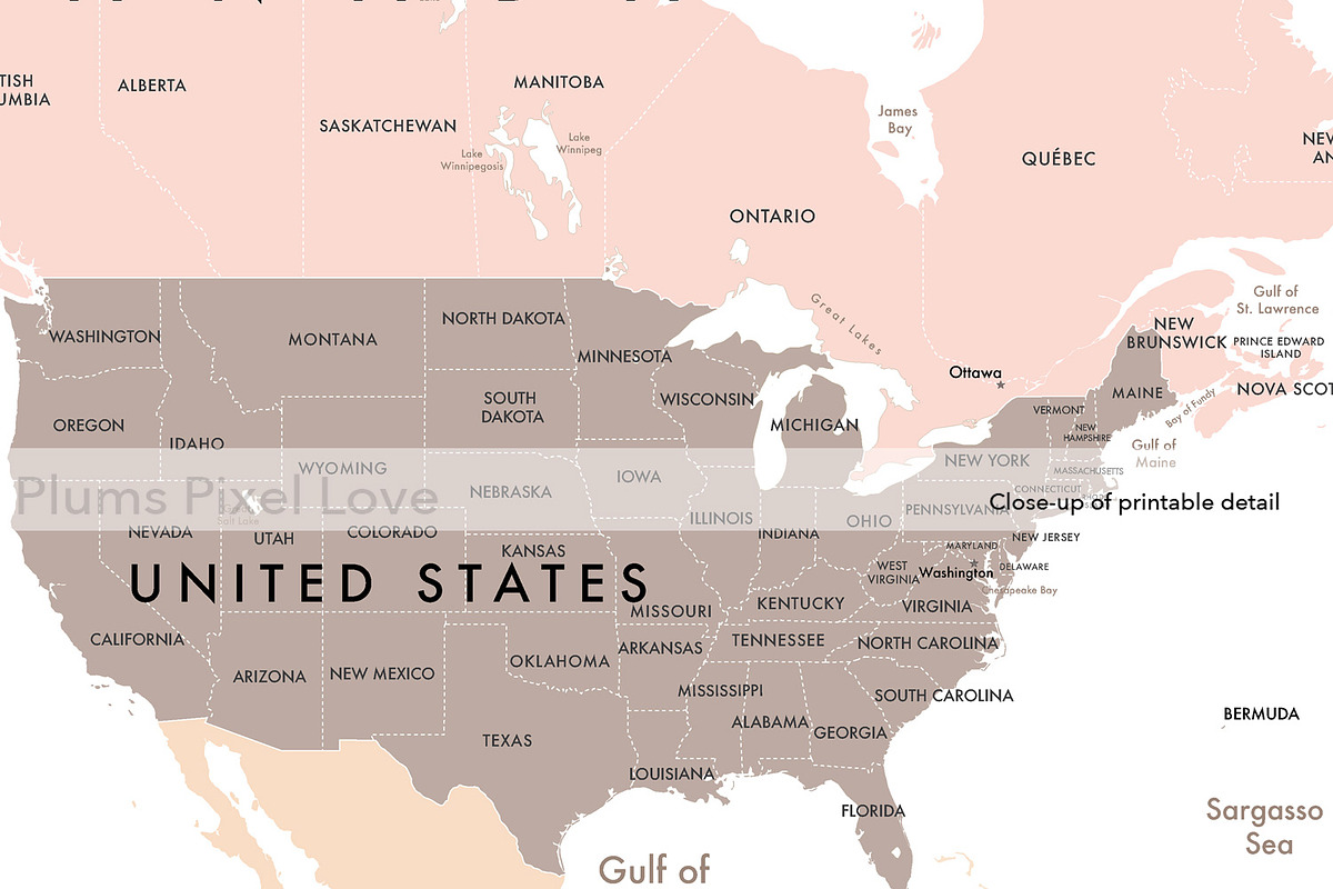Detailed World Map 60x40 max - jpeg, a Work Illustration by Plums Pixel Love (Photo 9 of 11)