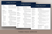 Executive Resume & Cover Letter Word, a Resume Template by Resume Bureau (Thumbnail 5 of 6)