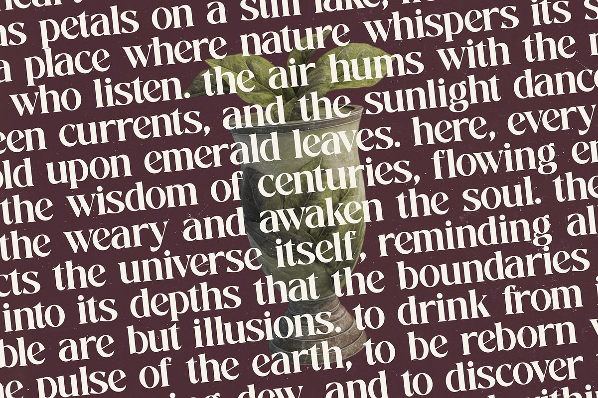 Mistical Spring - Modern Serif, a Serif Font by timelesstype.co (Photo 5 of 20)